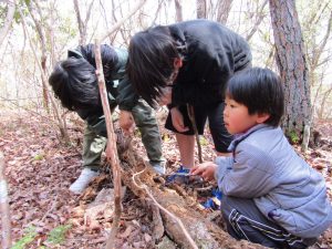 1月たぬきの森　森で遊ぼう！